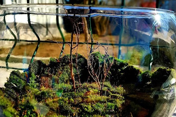 BAŞİSKELE PETGARDEN - Resim 8