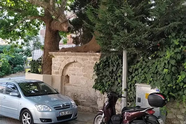 Çınarlı Kahve - Resim 4