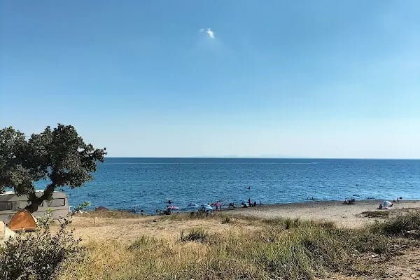 Tüze Yapı - Resim 2