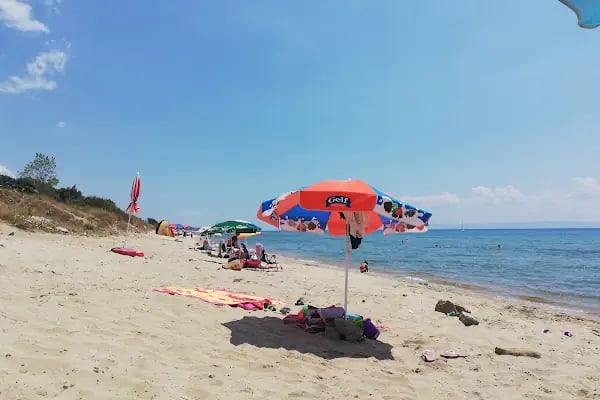 Tüze Yapı - Resim 18