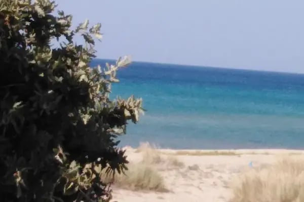 Tüze Yapı - Resim 14