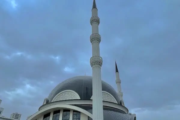 Trabzon Üniversitesi - Resim 3