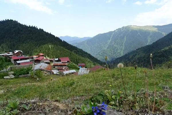 Trabzon Üniversitesi - Resim 8
