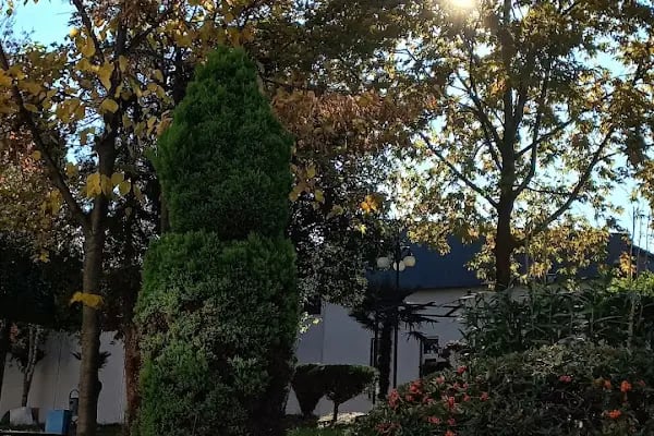 Trabzon Üniversitesi - Resim 19