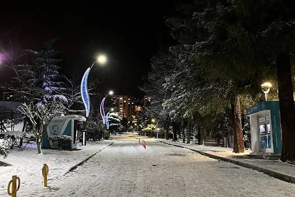 Trabzon Üniversitesi - Resim 5