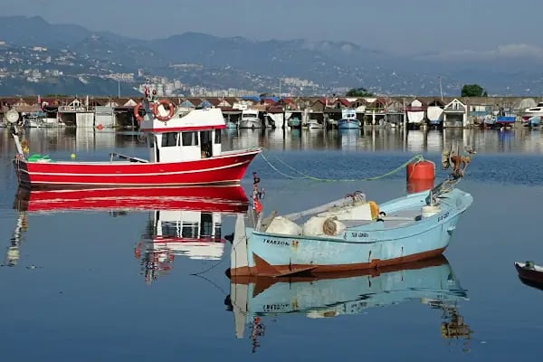 Trabzon Üniversitesi - Resim 9