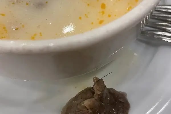 Yerciler Kasap Et Mangal Çorba - Resim 19