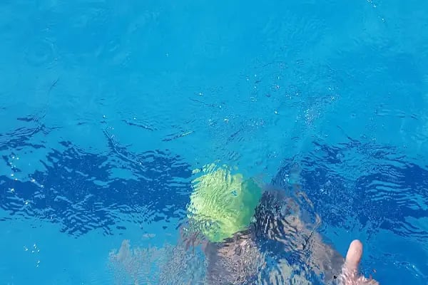 Mudanya Belediyesi Yüzme Havuzu - Resim 17