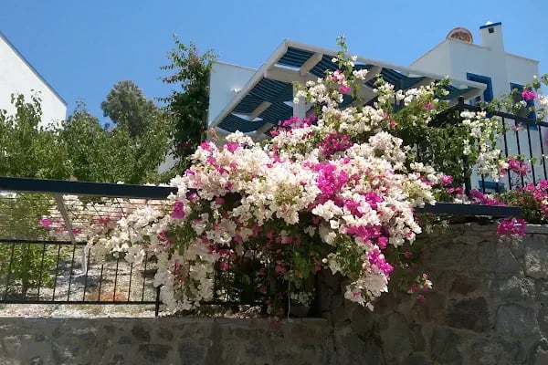 Halikarnas Evleri - Resim 15