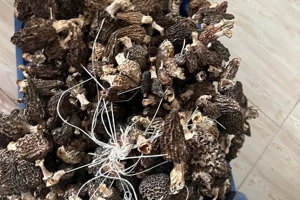 Truf Market İddaa Şans Oyunları - Resim 9