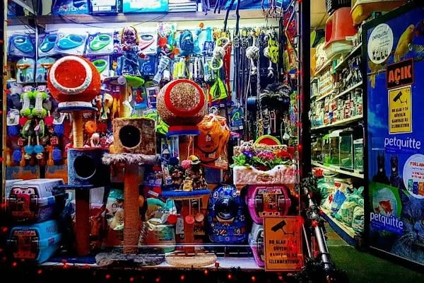 Destan Akvaryum ve pet Market - Resim 17