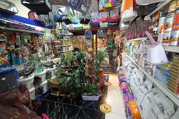 Destan Akvaryum ve pet Market - Resim 11