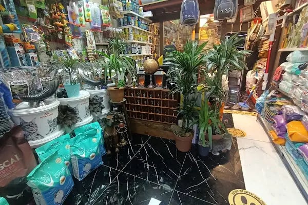 Destan Akvaryum ve pet Market - Resim 5