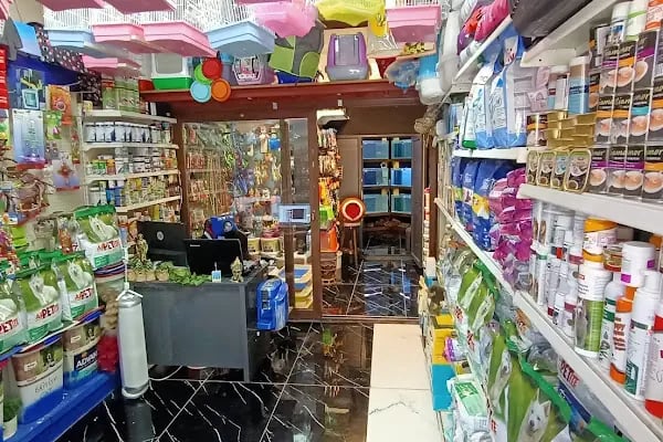 Destan Akvaryum ve pet Market - Resim 20