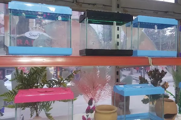 Destan Akvaryum ve pet Market - Resim 7