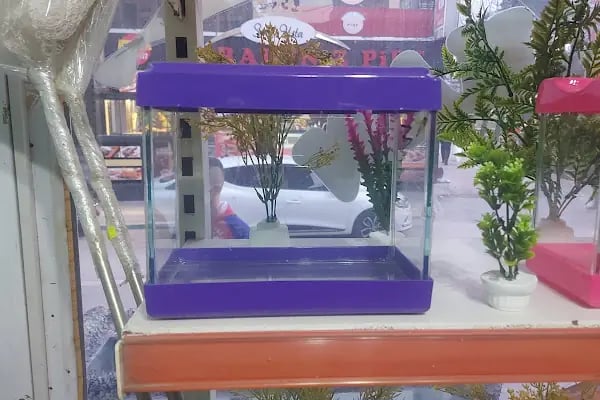 Destan Akvaryum ve pet Market - Resim 16