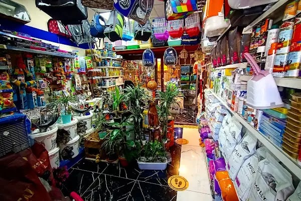 Destan Akvaryum ve pet Market - Resim 8