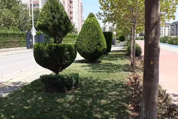 Bursa Peyzaj Ağaç Kesim Bahçe Düzenleme Budama Çim Dikimi Profesyonel Dizayn - Resim 6