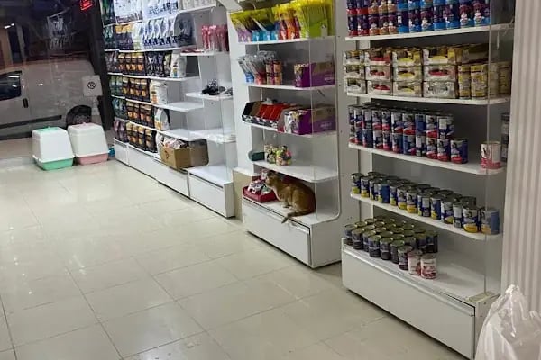 Cadde Petshop - Resim 18