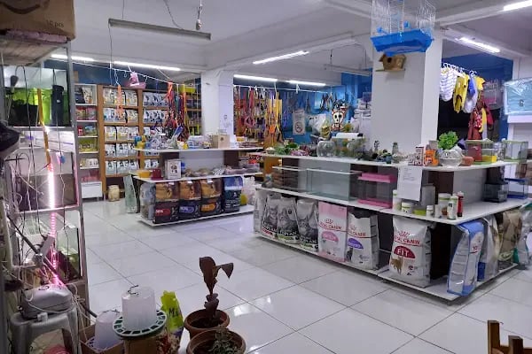 Cadde Petshop - Resim 6