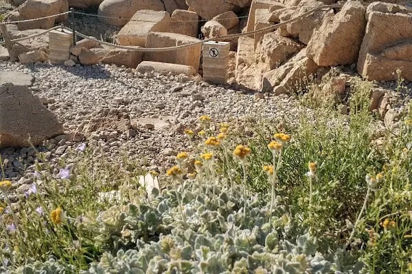 Nemrut Dağı Milli Parkı - Resim 2