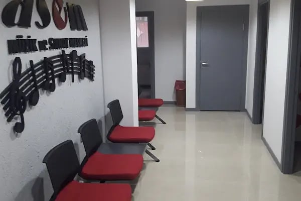 MİLLİ EĞİTİM BAKANLIĞI ÖZEL ASEM MÜZİK VE SANAT MERKEZİ - Resim 8