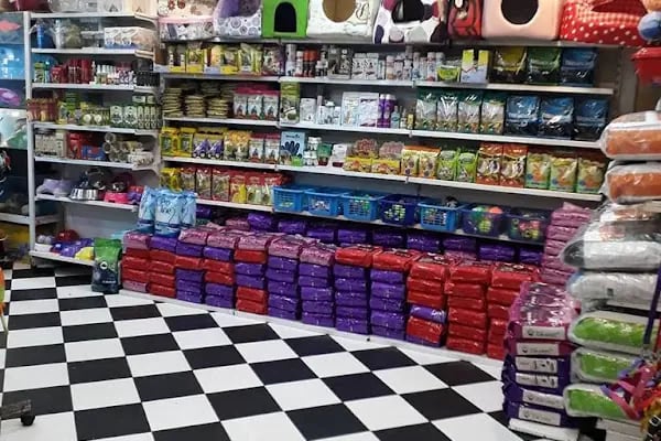 SAMSUN PETSHOP BURAK ŞAHİNKAYA - Resim 12