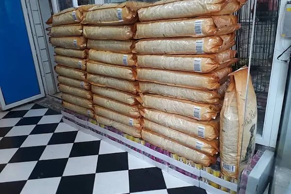 SAMSUN PETSHOP BURAK ŞAHİNKAYA - Resim 20