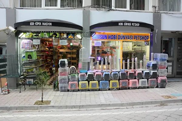 SAMSUN PETSHOP BURAK ŞAHİNKAYA - Resim 2