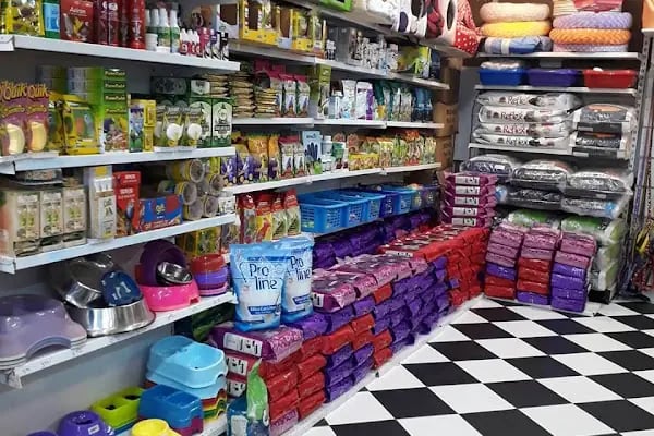 SAMSUN PETSHOP BURAK ŞAHİNKAYA - Resim 4