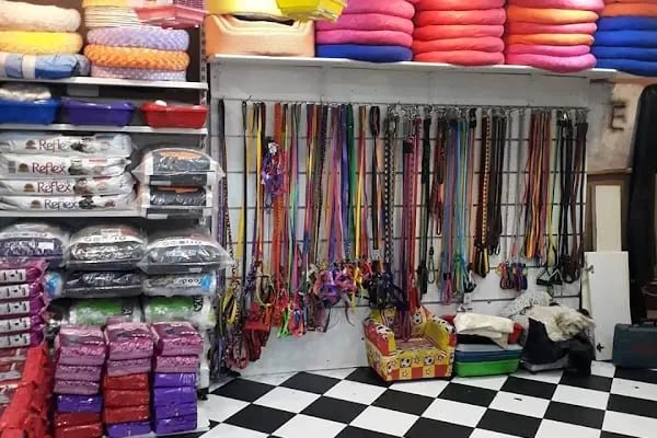 SAMSUN PETSHOP BURAK ŞAHİNKAYA - Resim 18