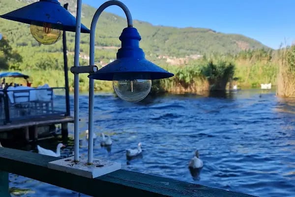 Akyaka Viya Saklıbahçe Restaurant - Resim 4