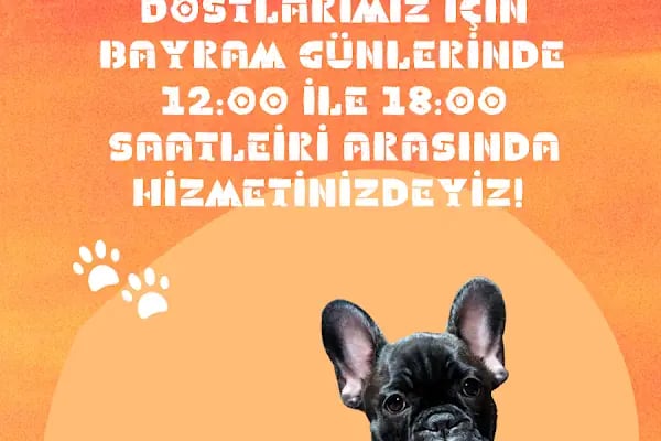 Erbil Petshop - Resim 2
