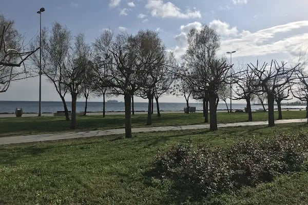 ALMAATA PARKI - Resim 6
