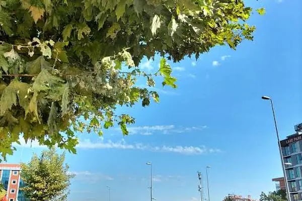 Avcılar Dedem Hotel - Resim 18