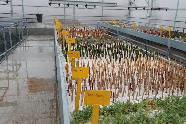 Akşehir Şehit İsmail Cem Yakınlar Mesleki ve Teknik Anadolu Lisesi - Resim 2
