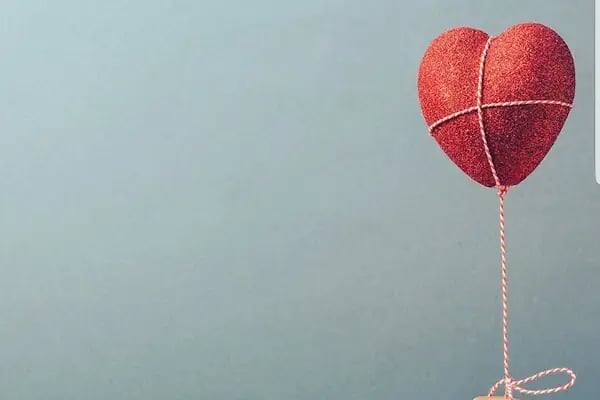 label travel agency - van ili transfer şirketi -van uçak bilet satış -van central rent a car - Resim 3