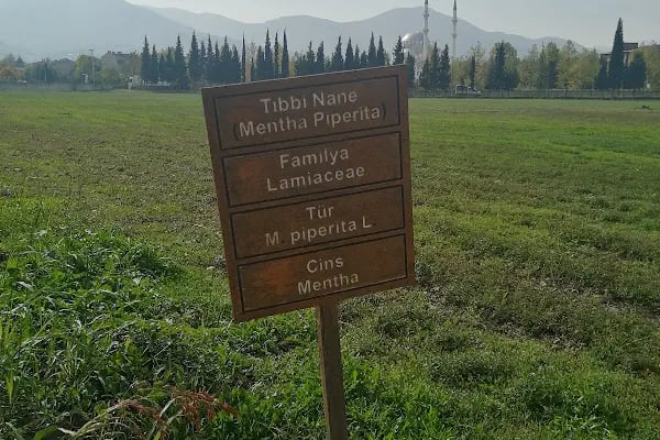 Kocaeli Üniversitesi İzmit Meslek Yüksekokulu - Resim 12