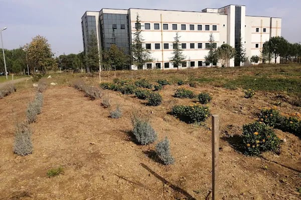 Kocaeli Üniversitesi İzmit Meslek Yüksekokulu - Resim 6