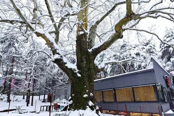 ÇINAR PARK DAVET DÜĞÜN SALONU - Resim 10