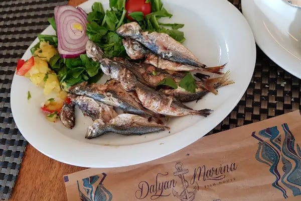 Dalyan marina - Resim 2