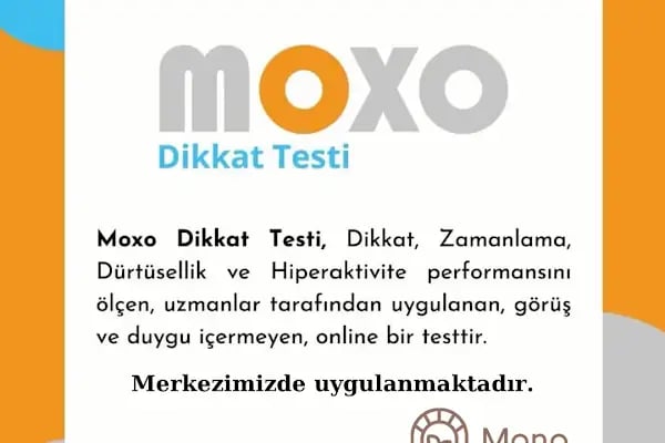 Mono Psikoloji (Uzman Klinik Psikolog Sibel Şen) - Resim 11