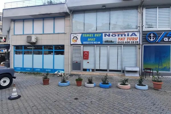 Anamur Nomia Tekne Turu - Resim 6