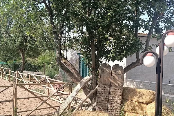 Safari At Çiftliği - Resim 11