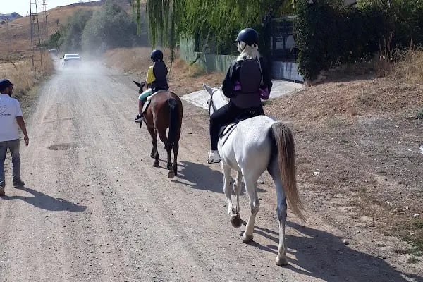 Safari At Çiftliği - Resim 12