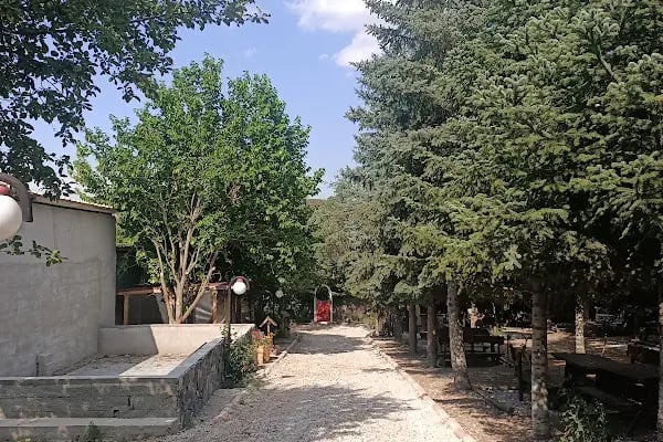 Safari At Çiftliği - Resim 5