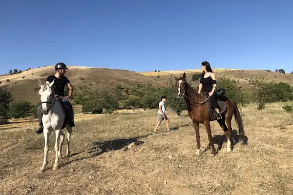 Safari At Çiftliği - Resim 3