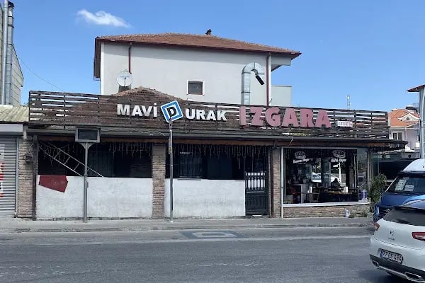Mavi Durak Izgara - Resim 2