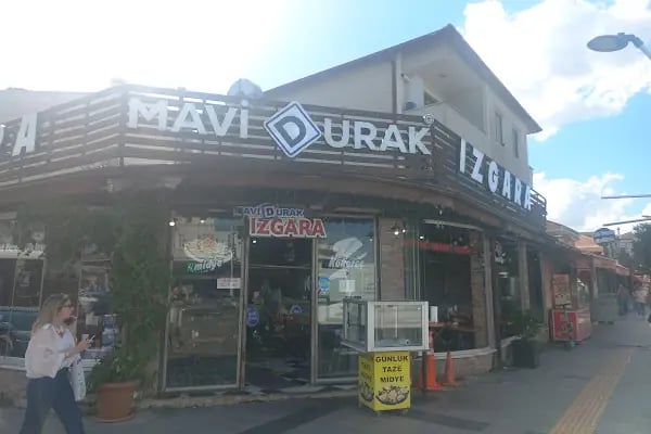 Mavi Durak Izgara - Resim 18