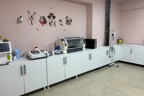 Miavv Veteriner Kliniği Erzurum - Resim 7